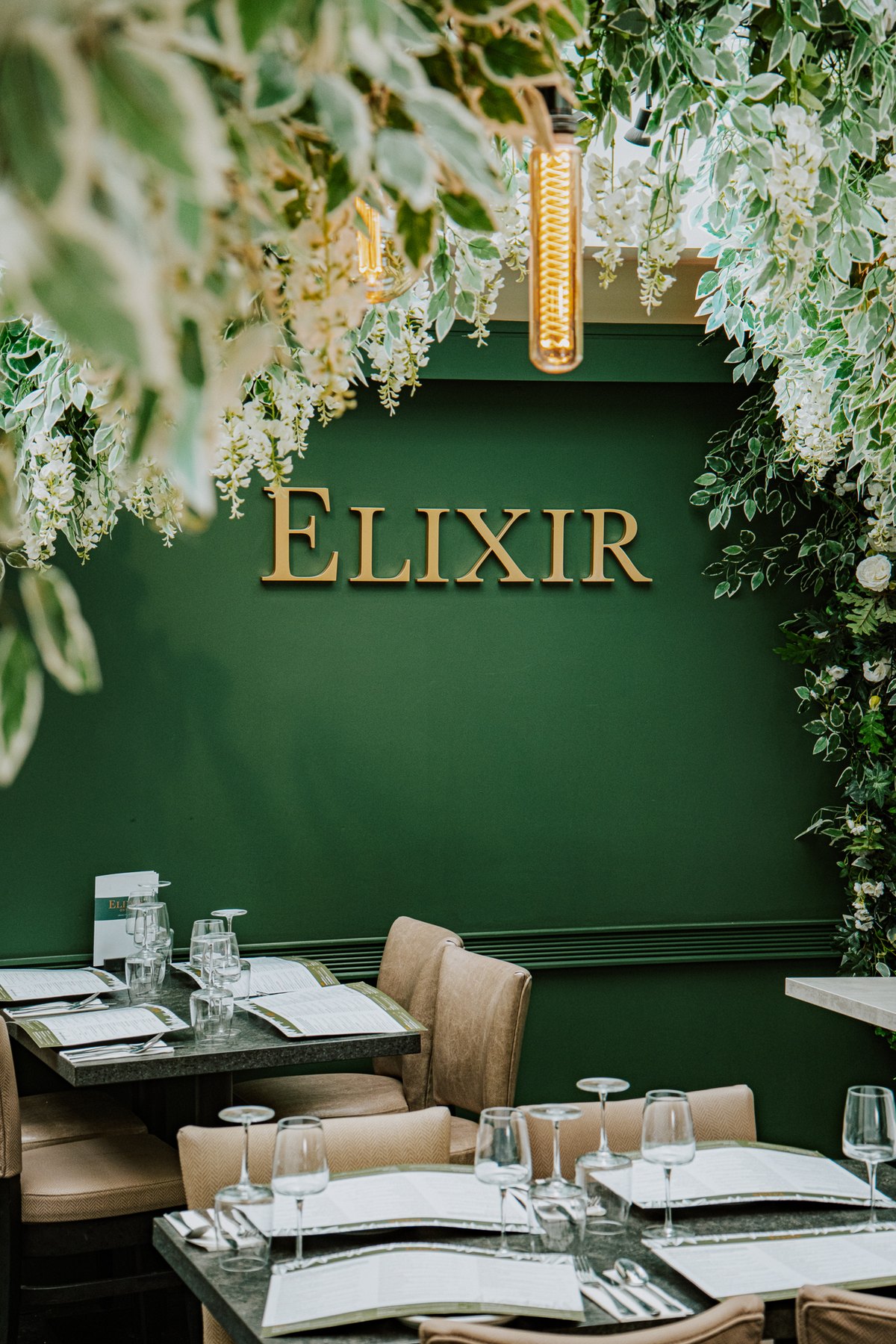 Elixir Oxton tapas